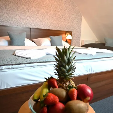 Hotel Vincent Luhacovice