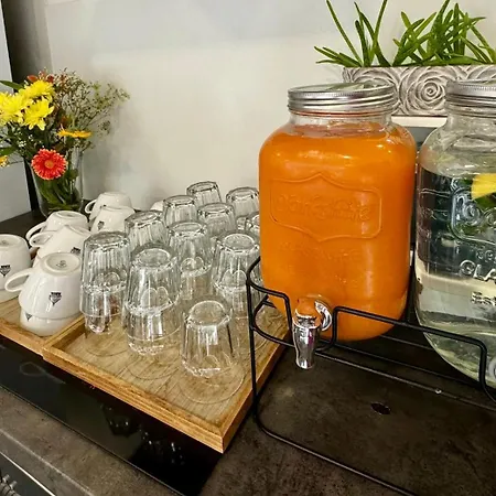 Vincent فندق لوهاكوفيس