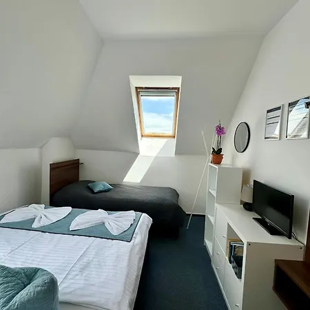 Vincent لوهاكوفيس