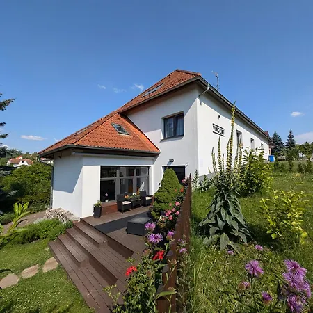 Vincent لوهاكوفيس