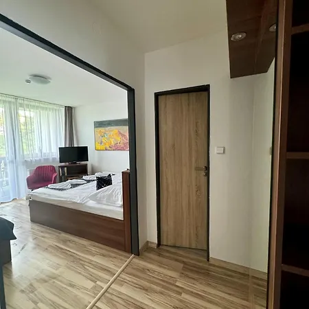 Hotel Vincent Luhacovice