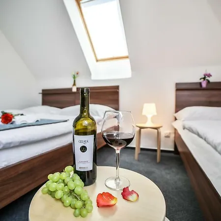 Vincent فندق لوهاكوفيس