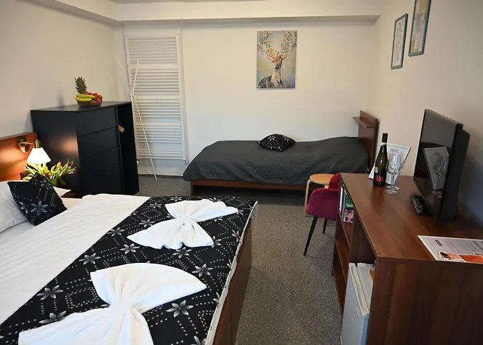 Hotell Vincent Luhačovice