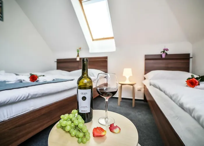 Vincent Hotell Luhačovice